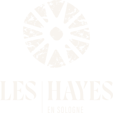 logo Hotel des Hayes en Sologne - Nature active Hotel all exclusive