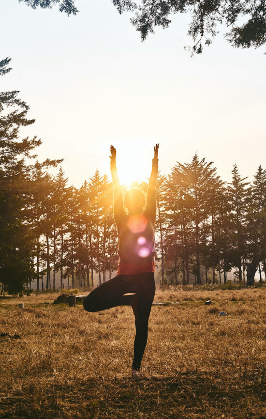 séances de yoga - activité aux hayes en sologne