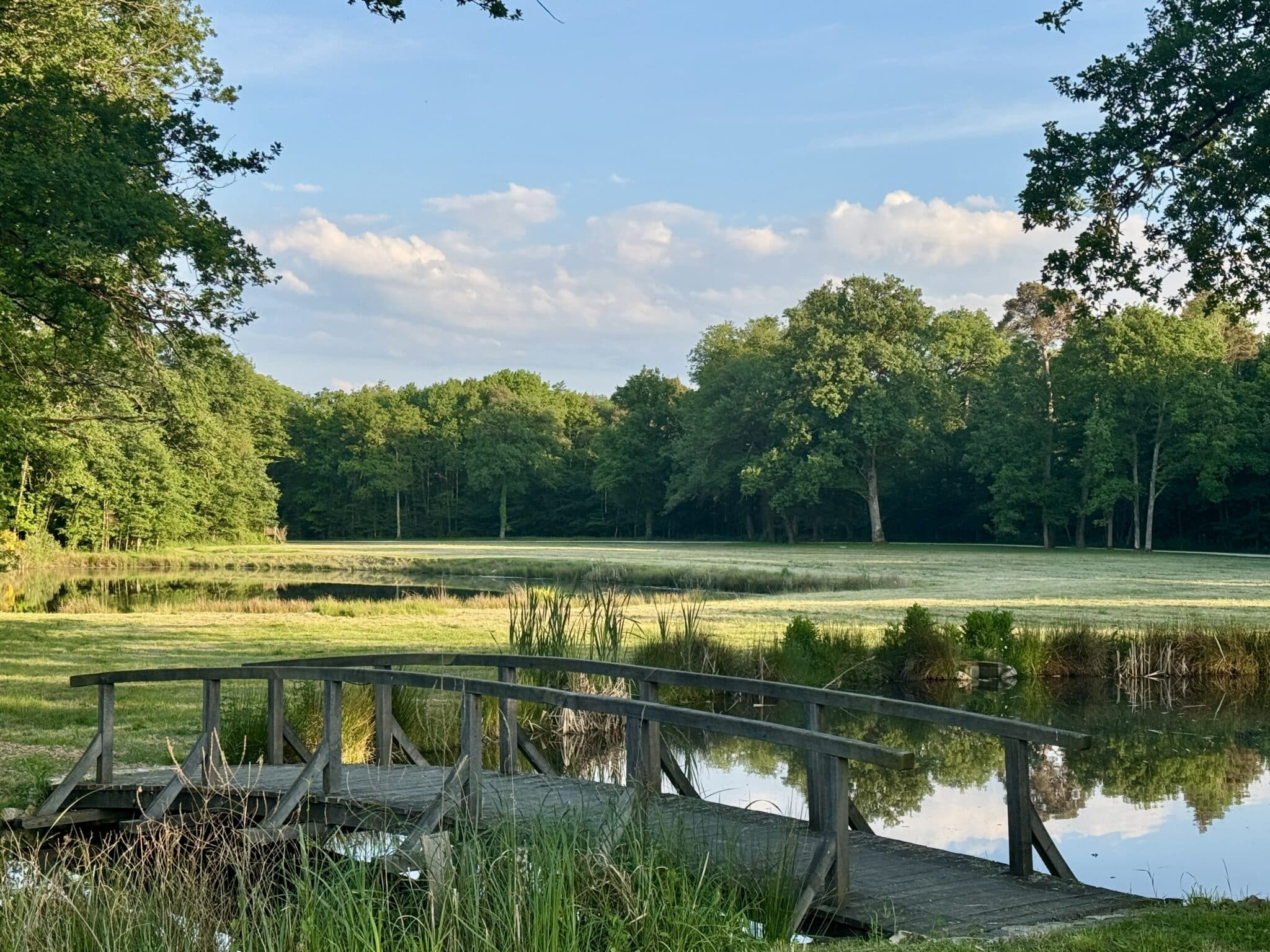 Etang des hayes en Sologne