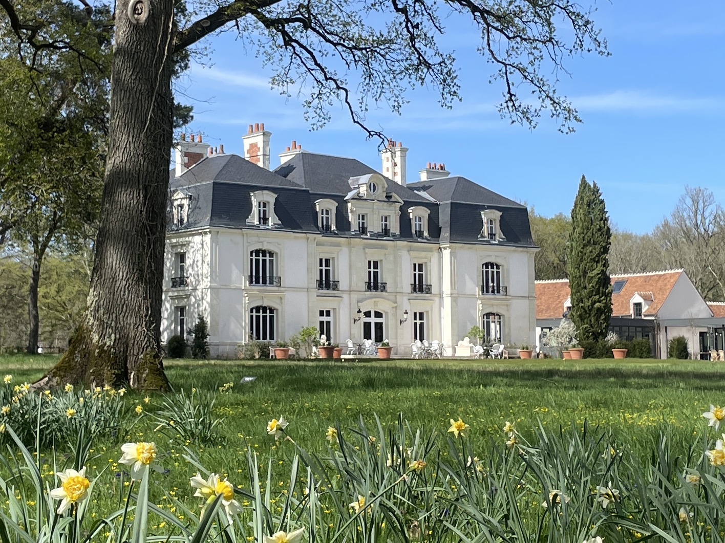 Chateau hôtel des Hayes en Sologne