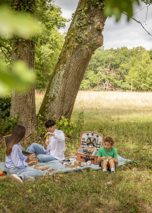Pique nique aux Hayes en famille